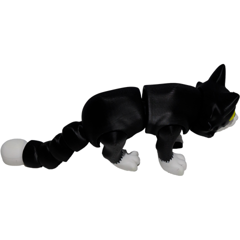 Black & White Cat Small