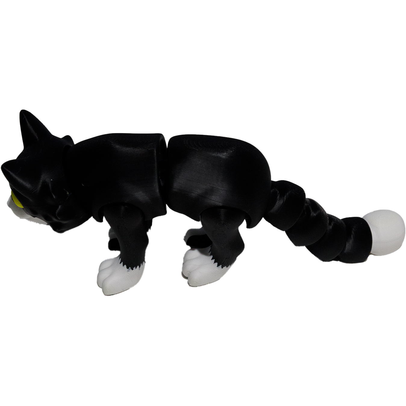 Black & White Cat Small