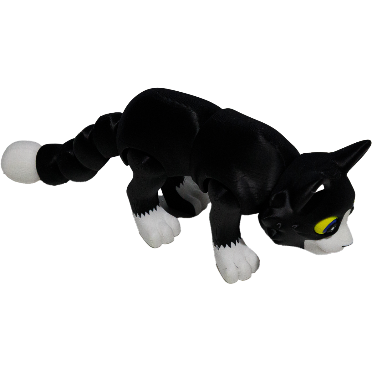 Black & White Cat Small