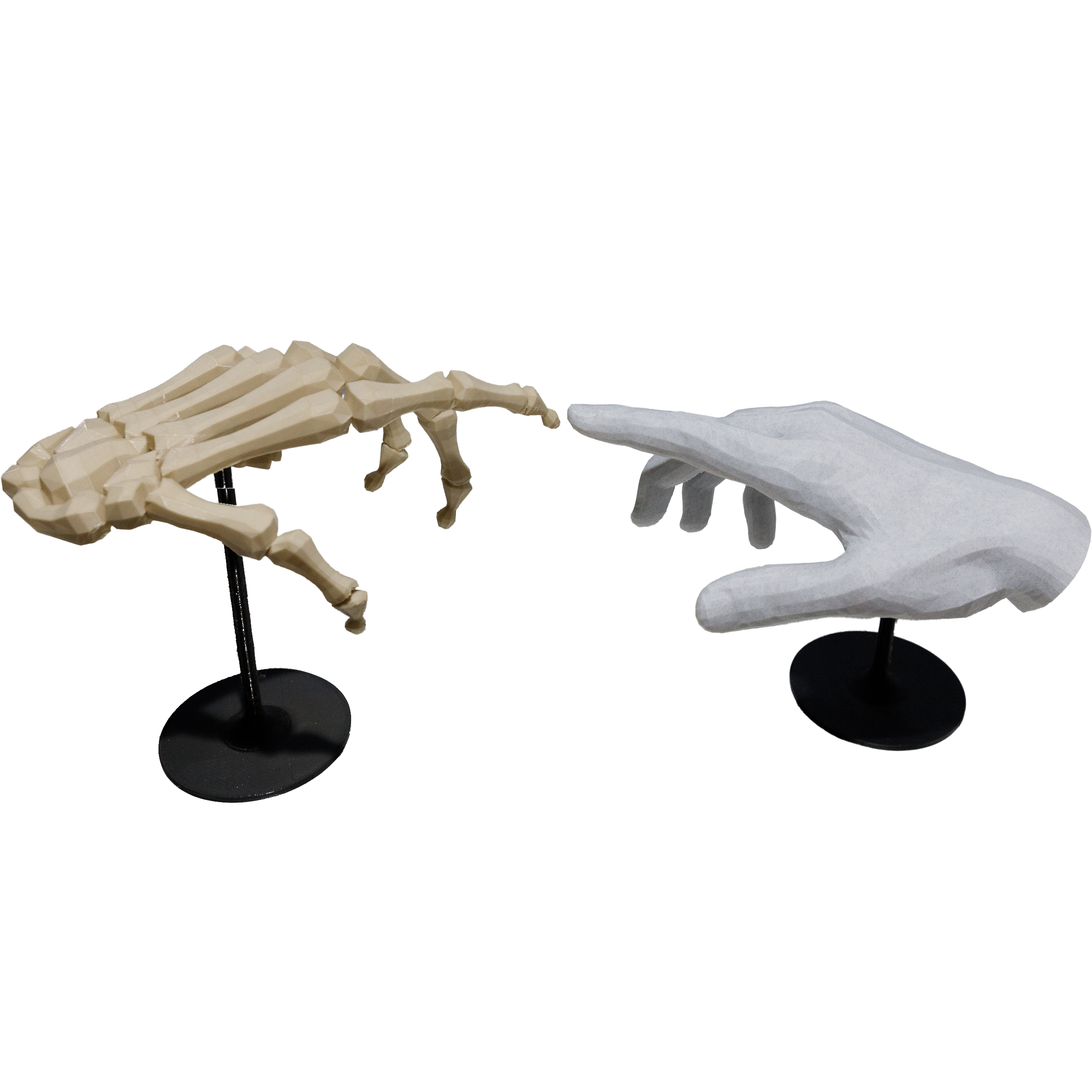 Hand and Bones