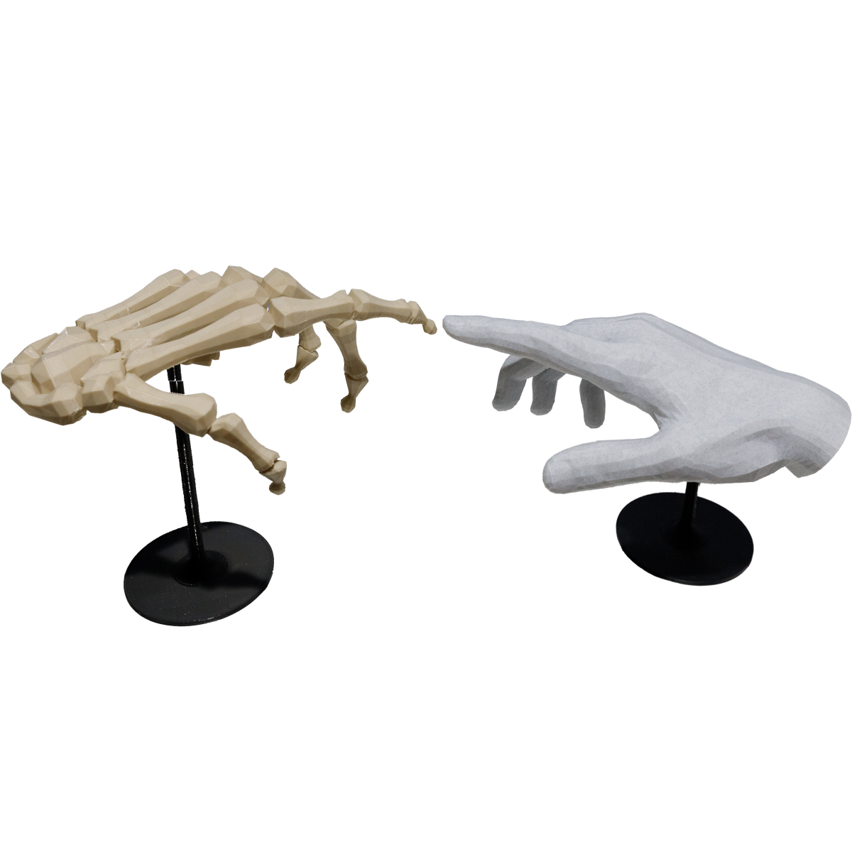 Hand and Bones