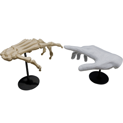 Hand and Bones